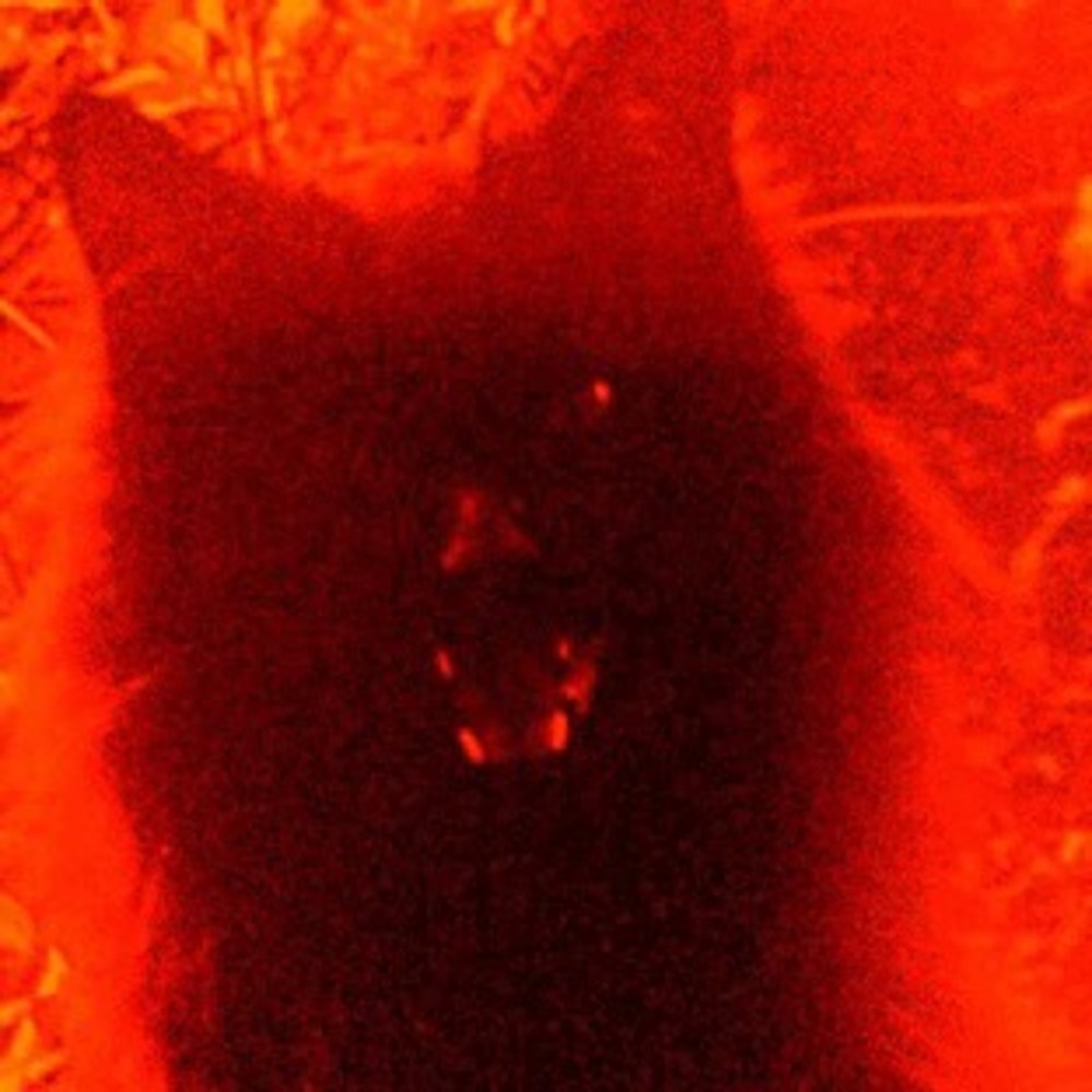 Meet your Posher, K.c.